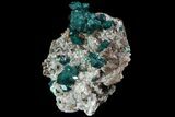 Large, Gemmy Dioptase Crystals On Calcite - Kazakhstan #78851-3